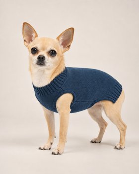 Jeansblauer Pullover für kleine Hunde