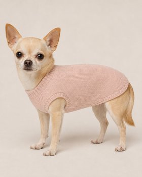 Rosa Glitzerpullover für kleine Hunde
