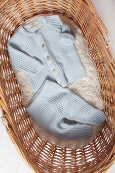 Completino Primula Azzurro