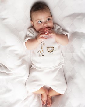 Completo Corto Safari in Puro Bamboo