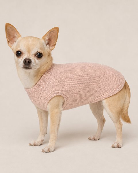 Merino wool extrafine