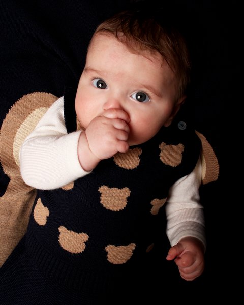 Teddy - Il compagno di Vita 🧸