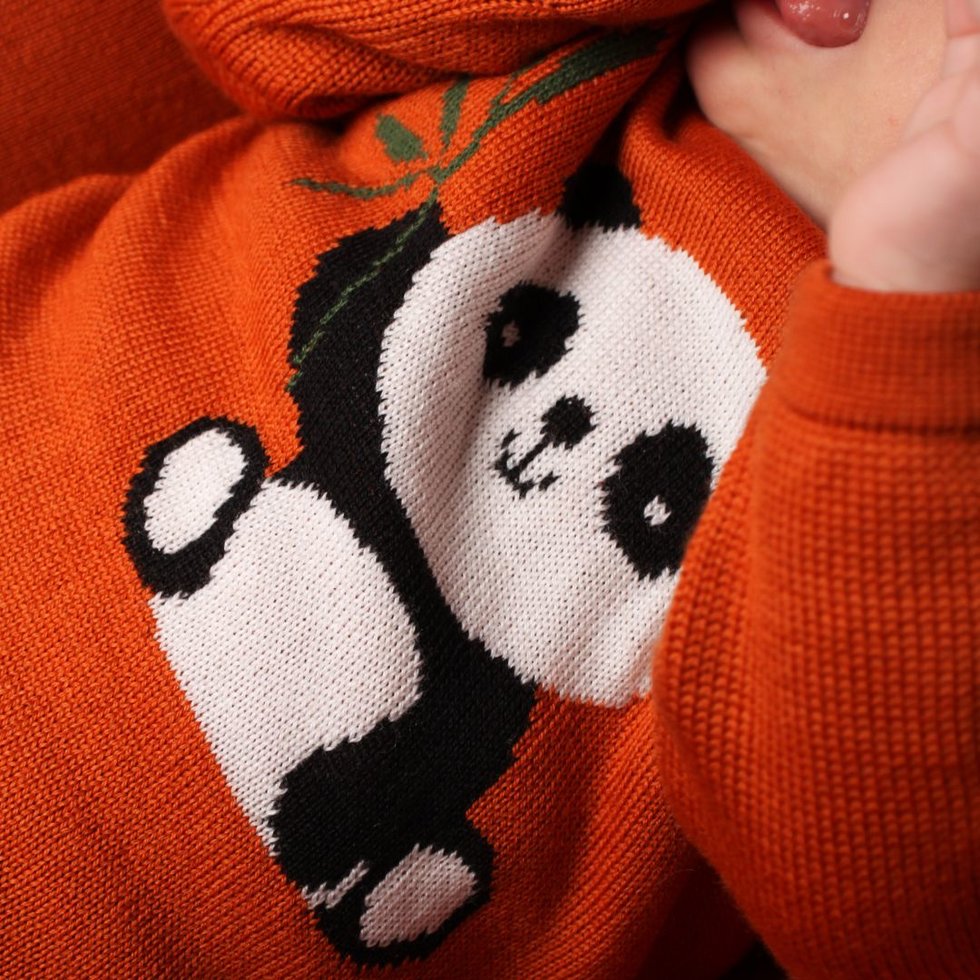 Collezione Pandaween - Avvolgiti di Coccole 🐼🎃